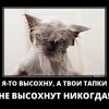 Месть Месть