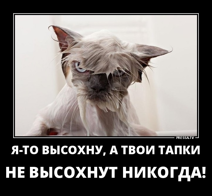 Месть