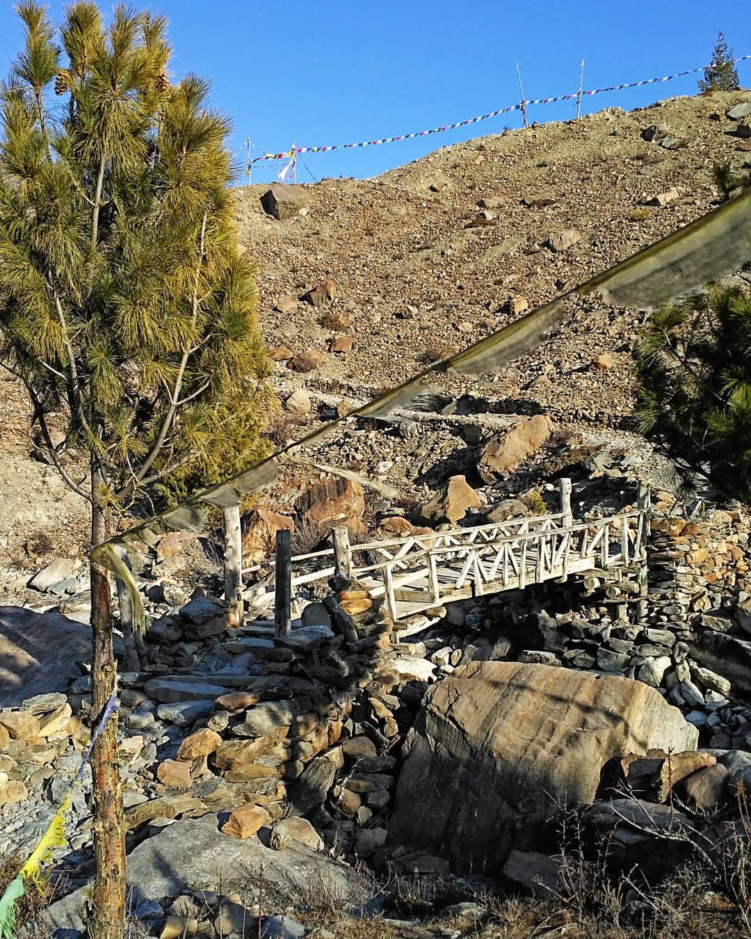 Сжигать мосты