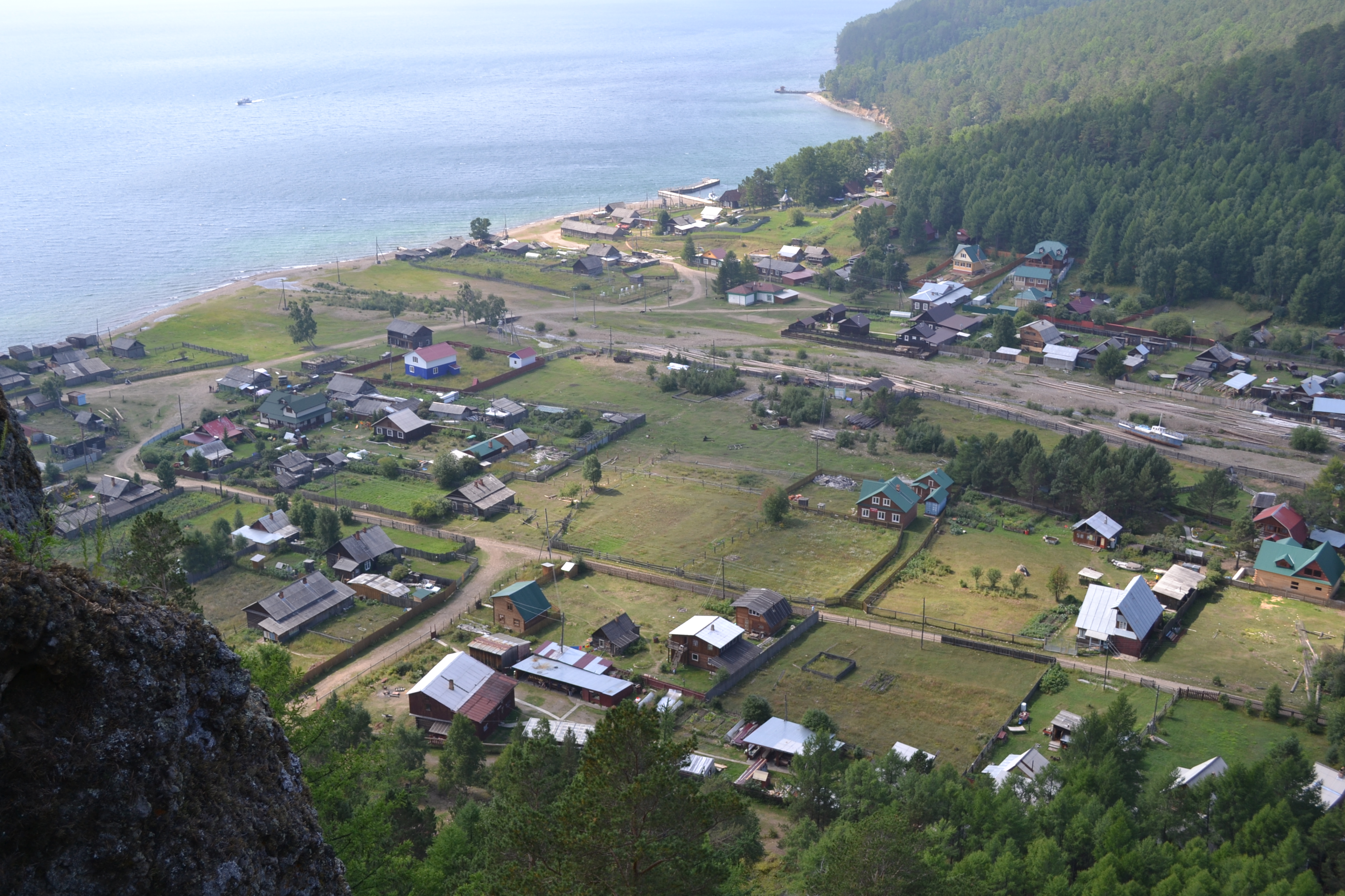 Большие Коты)))))