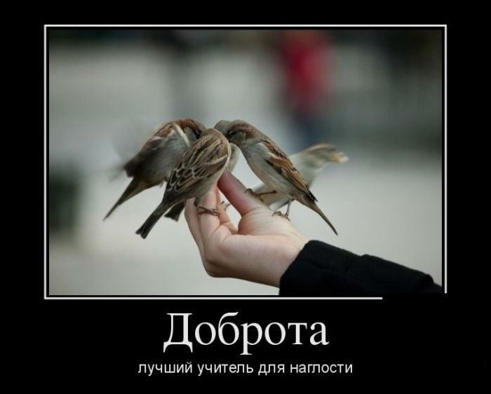 Доброта