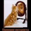 Принцип интернета