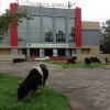 ДК Энергетик - источник культурного притяжения