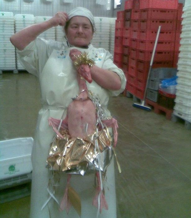 гусь