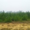 За Одинском За Одинском