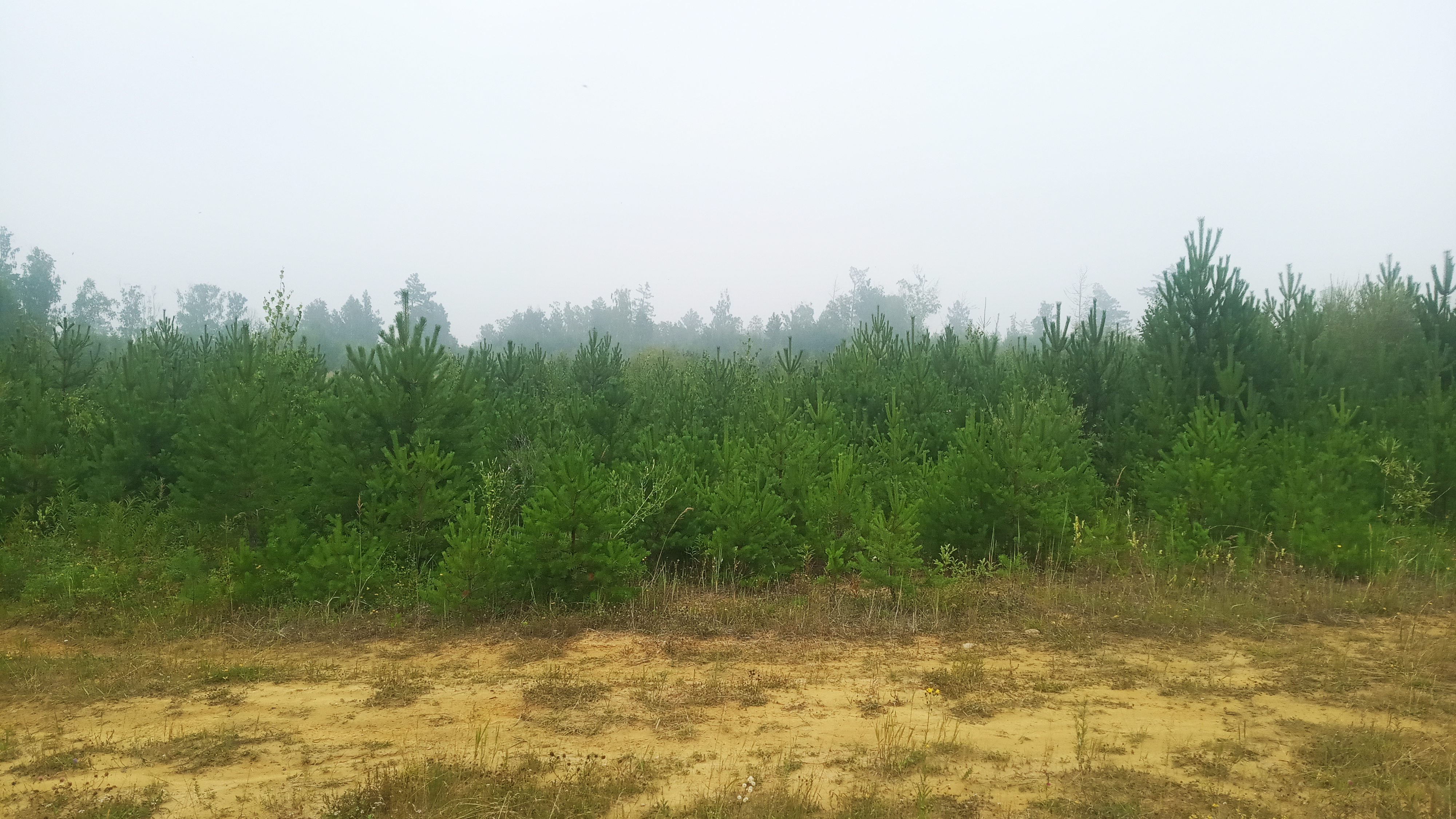 За Одинском