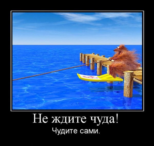 Не ждите чуда