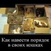 Как навести порядок в своих кошках Как навести порядок в своих кошках