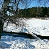 она так и не замерзла ....