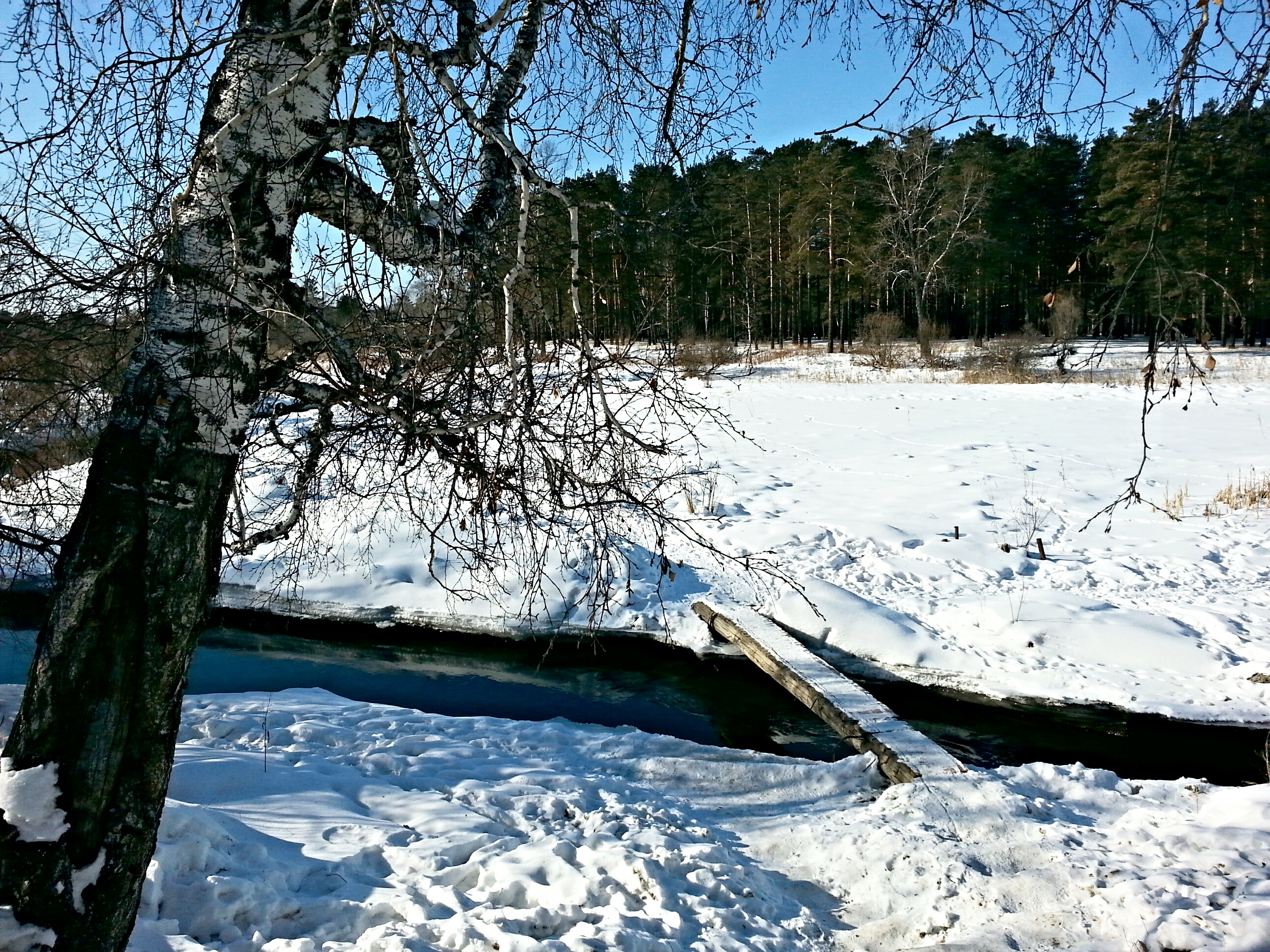она так и не замерзла ....