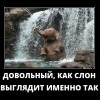 Довольный, как слон