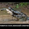 Женская сумочка
