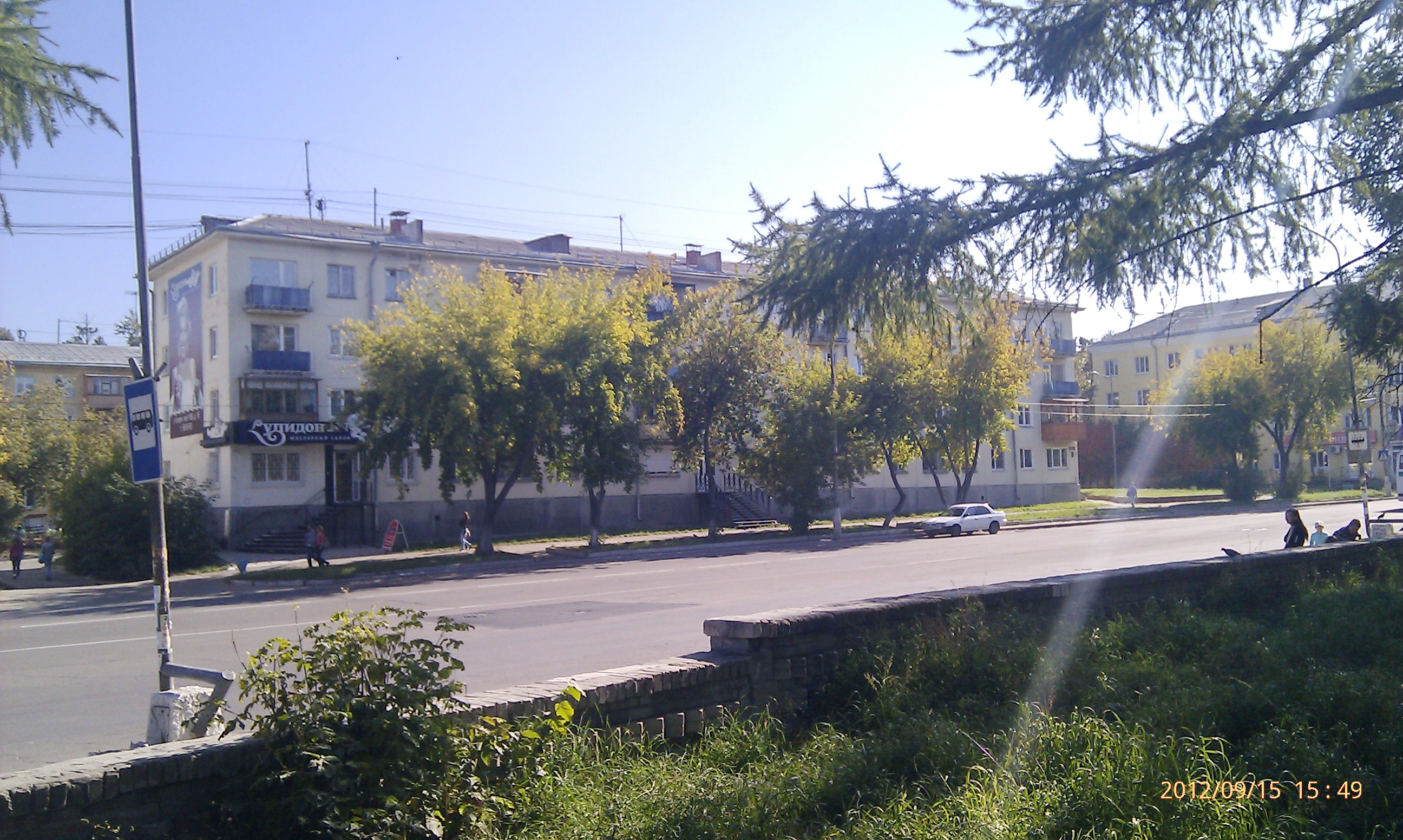 Веточки возле Шайбы)))))