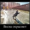 Весна окрыляет Весна окрыляет