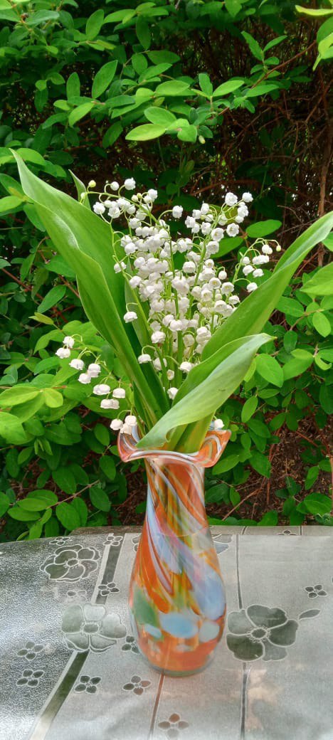 Белые горошки