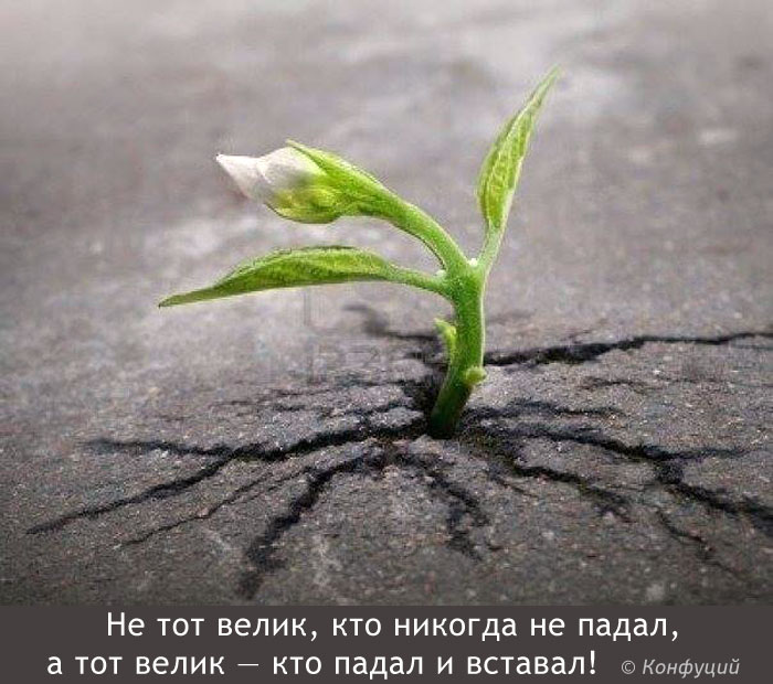 Упасть и встать