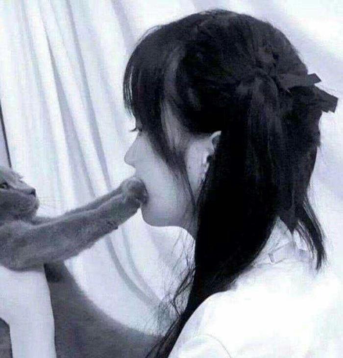 Просто кот.