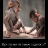 Любовь по Обезьяни... Любовь по Обезьяни...