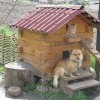 Соседи