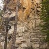 скальник Клеопатра 