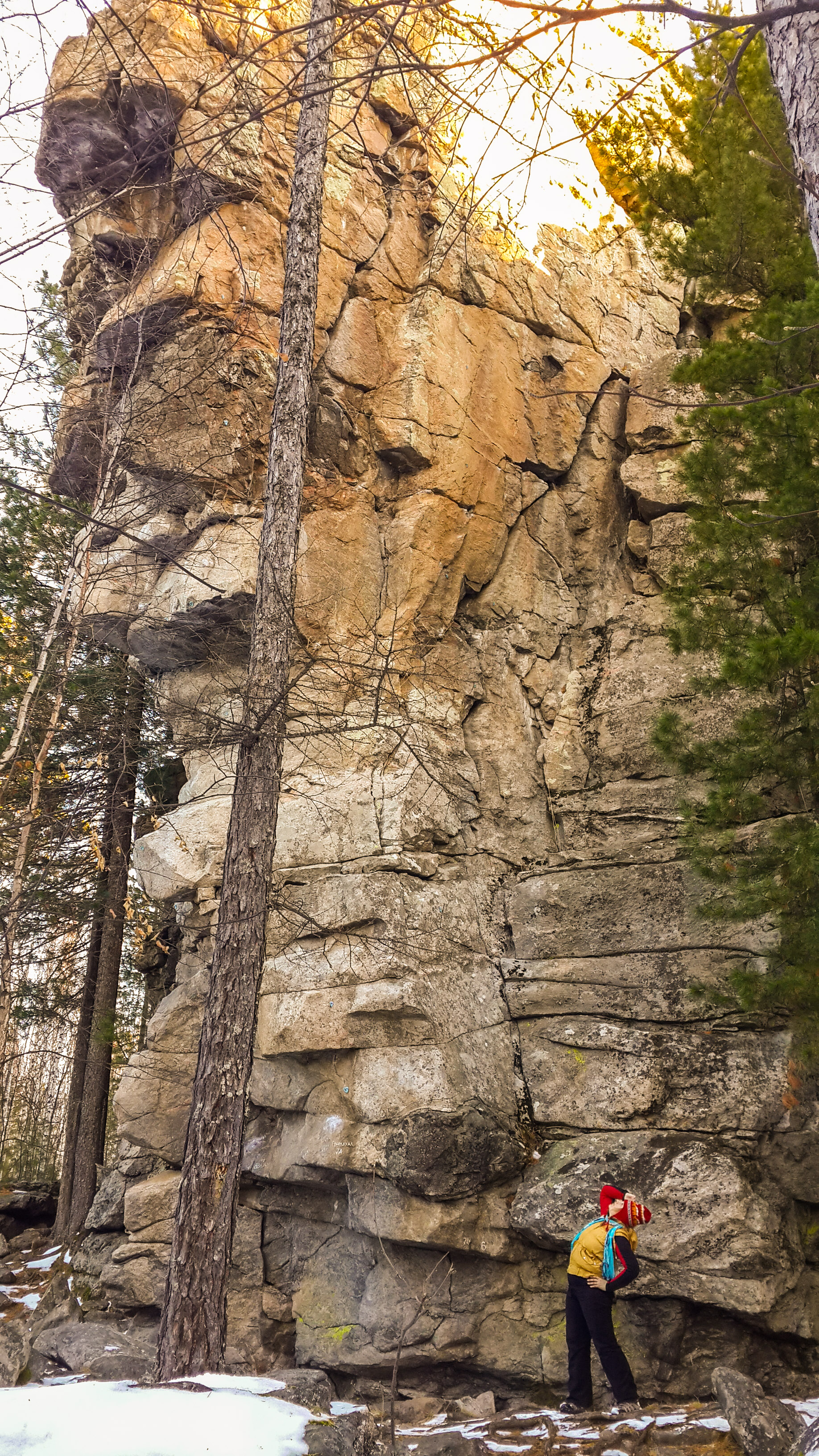 скальник Клеопатра 