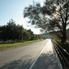 IMG 4099