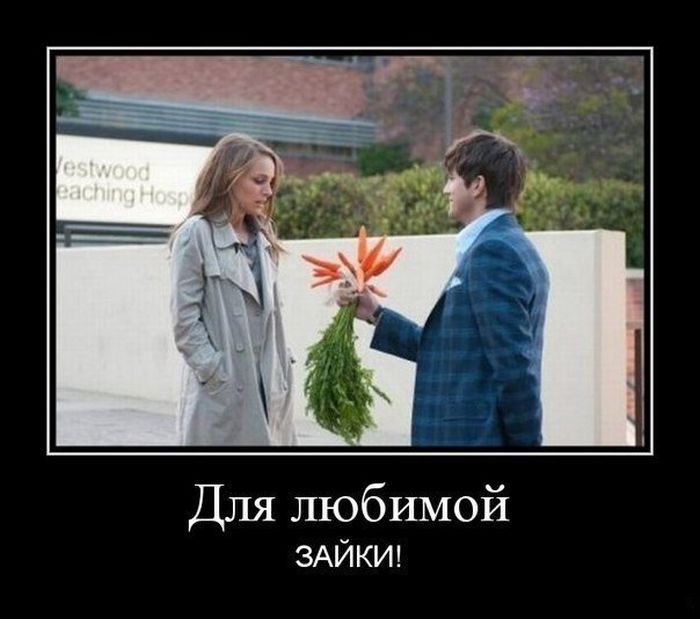 Для зайки