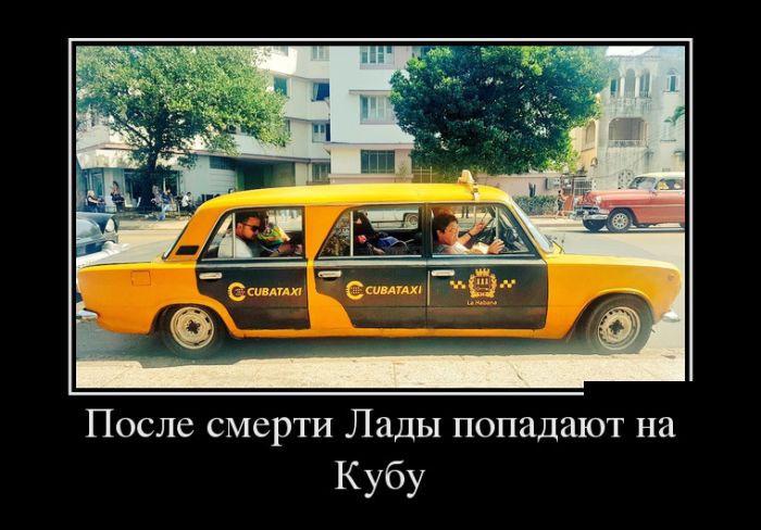 Вторая жизнь Лады