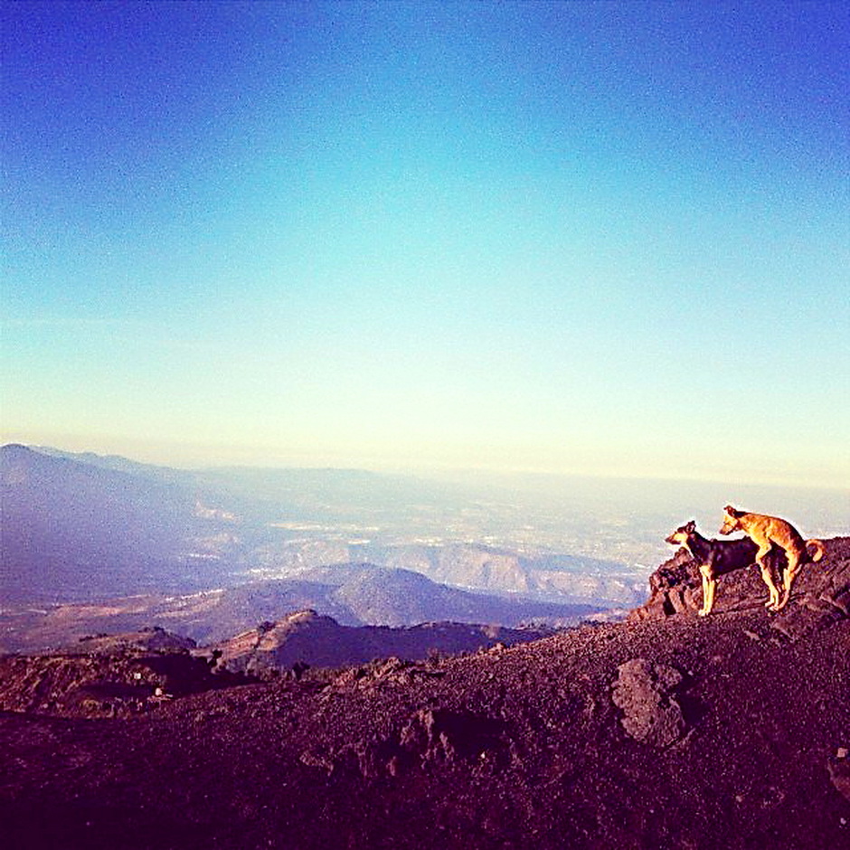 добрайе удро)))))