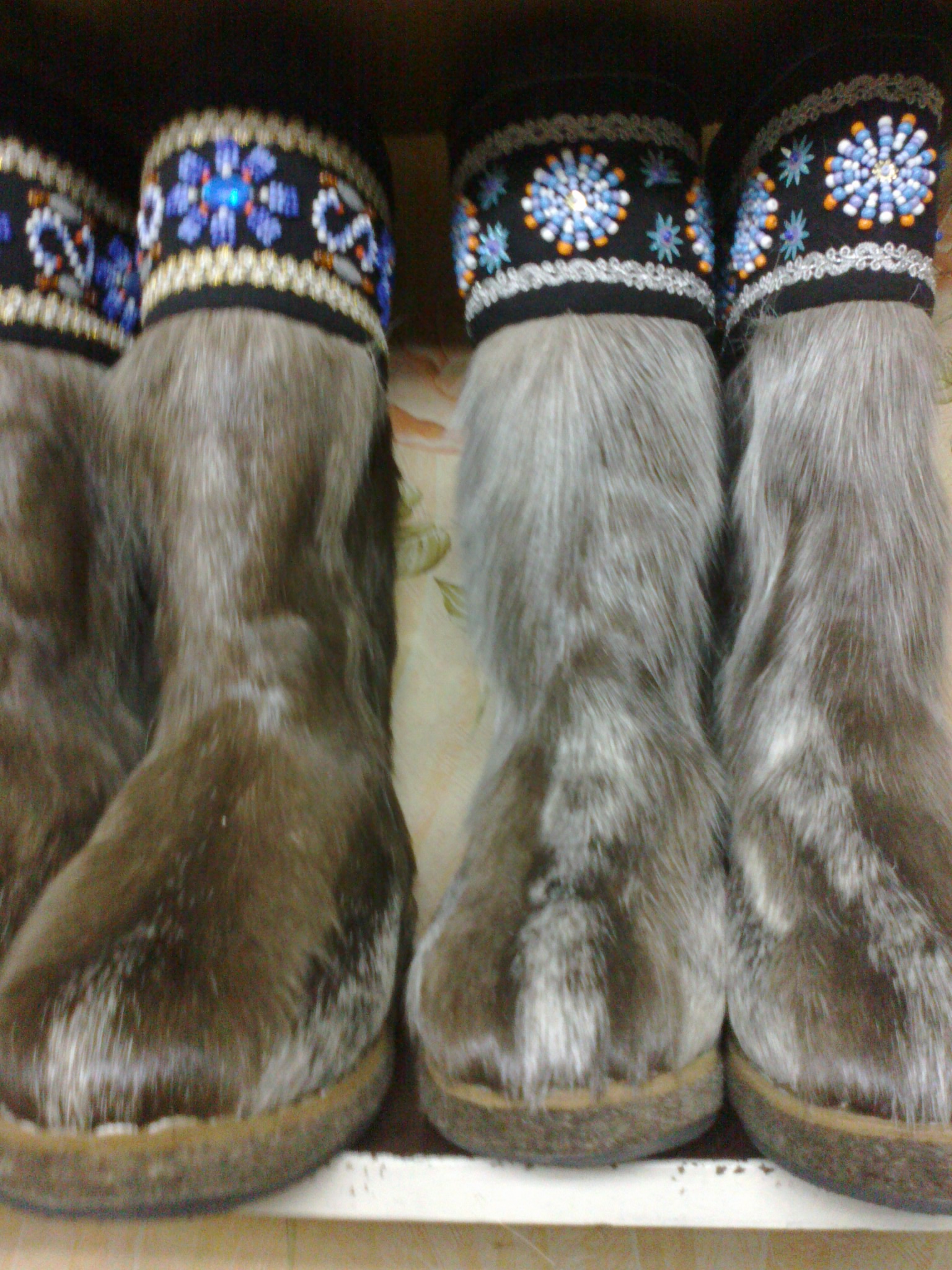 Сотовый 2013 033