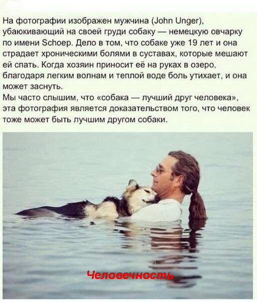 Человечность
