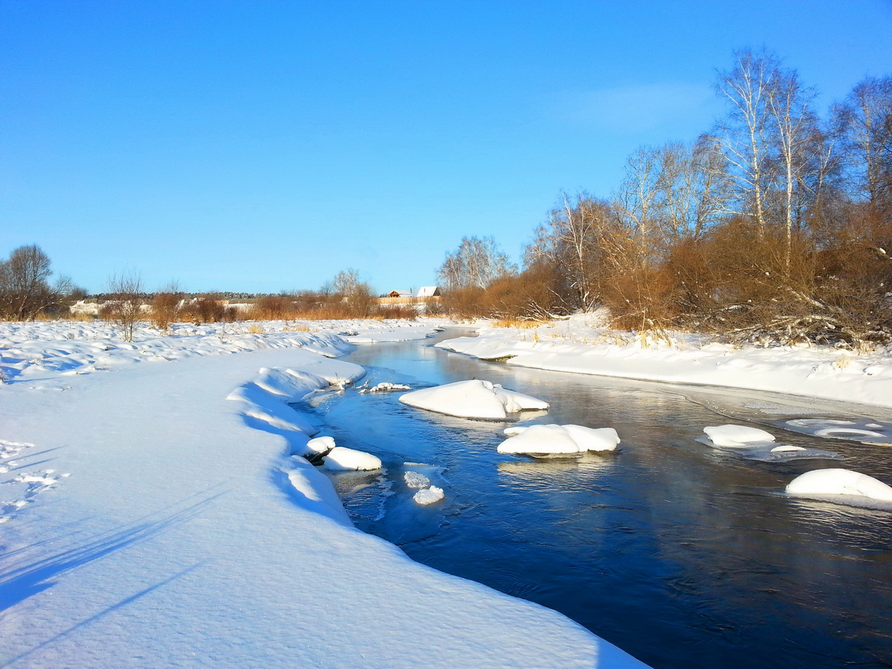 Еловка январь 2014))))