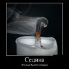 Седина