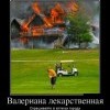 Валериана