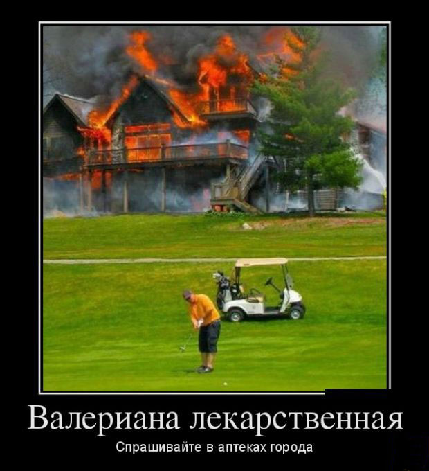 Валериана