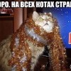 ))