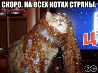 ))