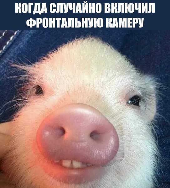 Фото-с фронтальной камеры