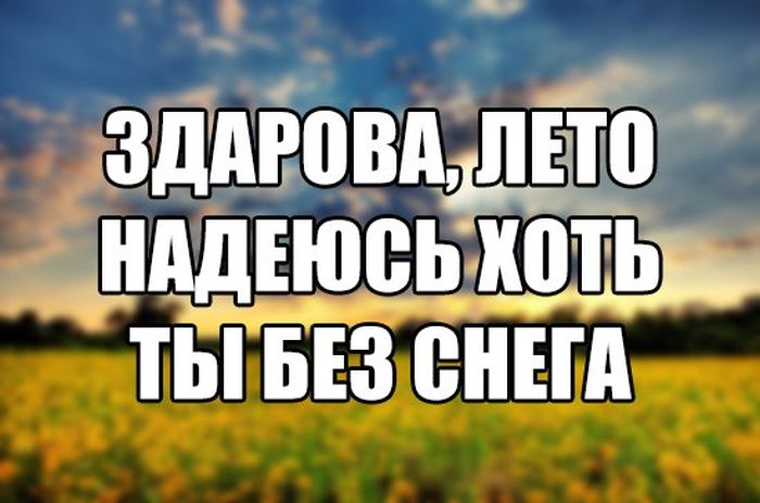 Здарова, лето!