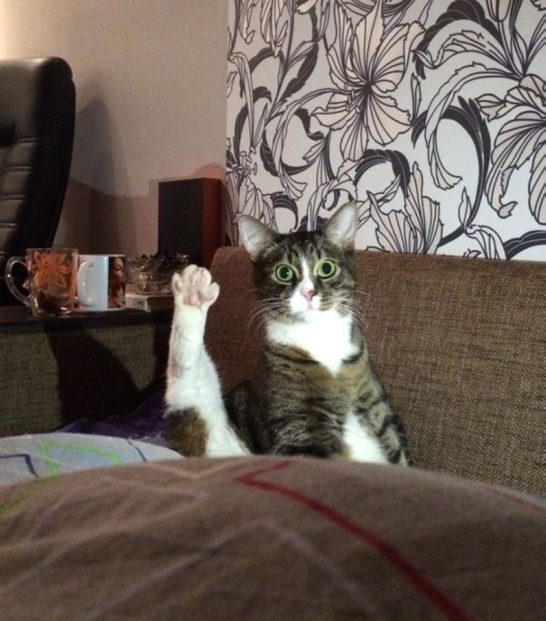 всем привет!