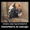 Не забудь