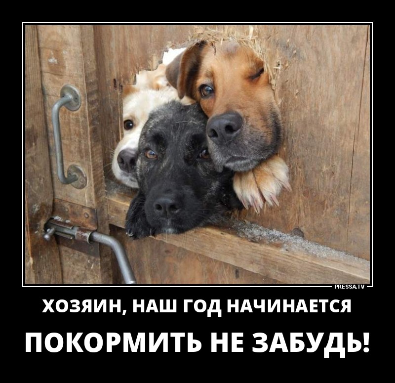 Не забудь