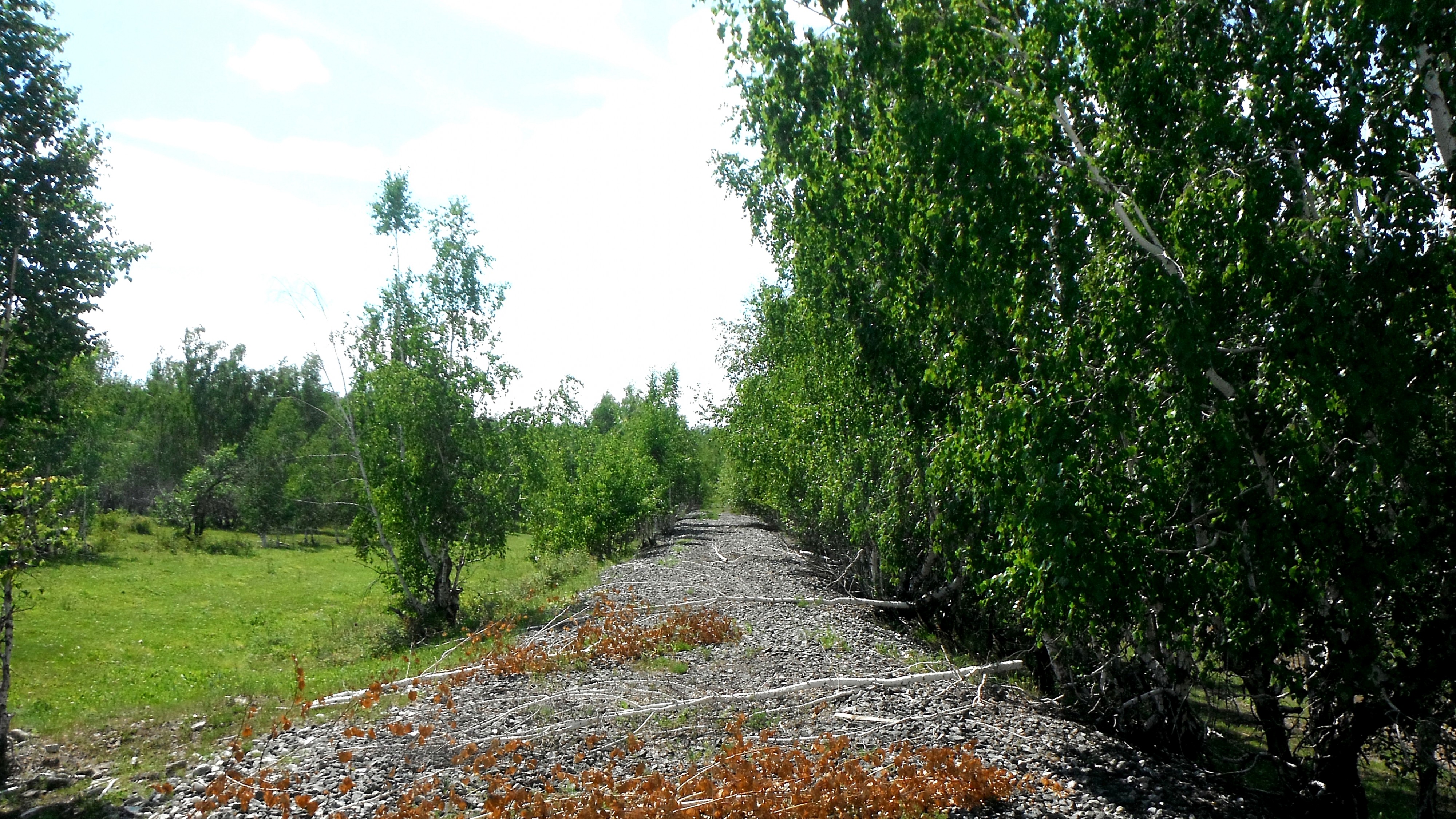 53.01251489697789, 103.34461359203813