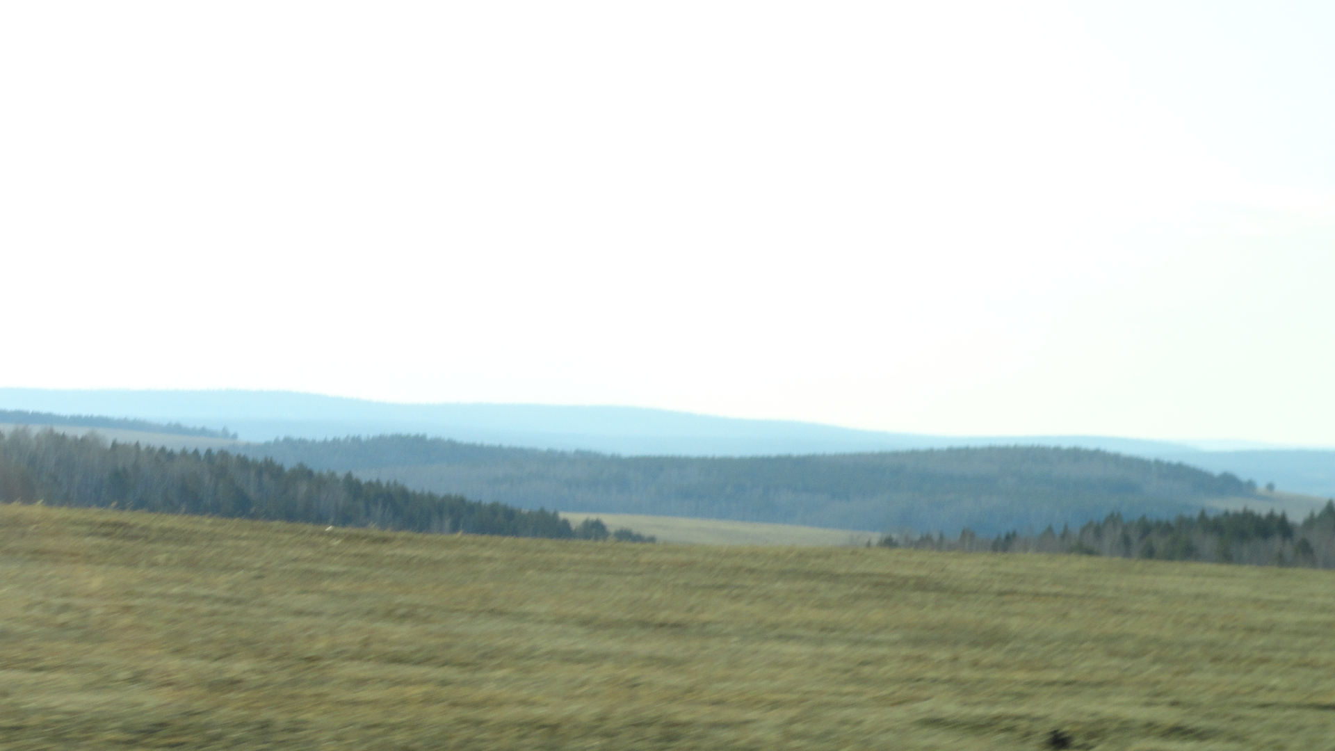 DSC03867