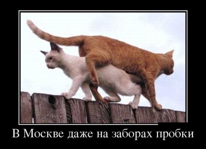 Пробки в Москве