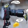птички и фотег)))))