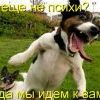 ))