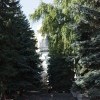 IMG 4443 IMG 4443