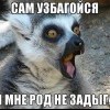 зам узбагойзя!!!!!