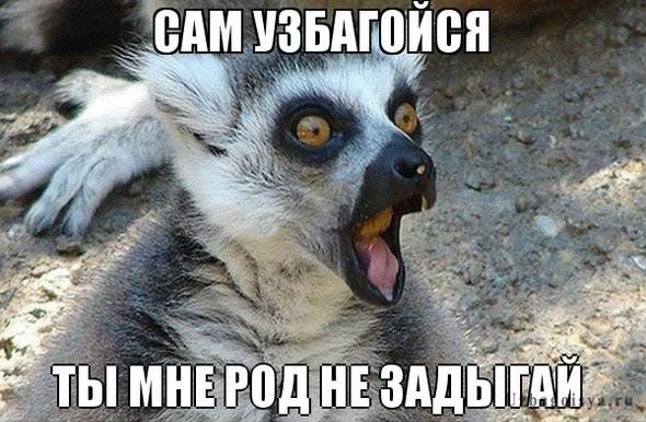 зам узбагойзя!!!!!